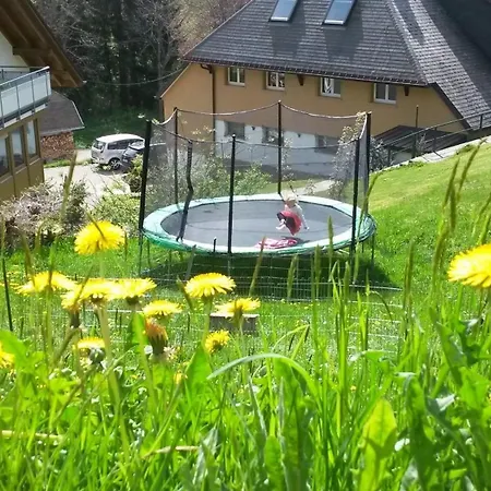 Bühlhof 1 Apartamento Todtnauberg